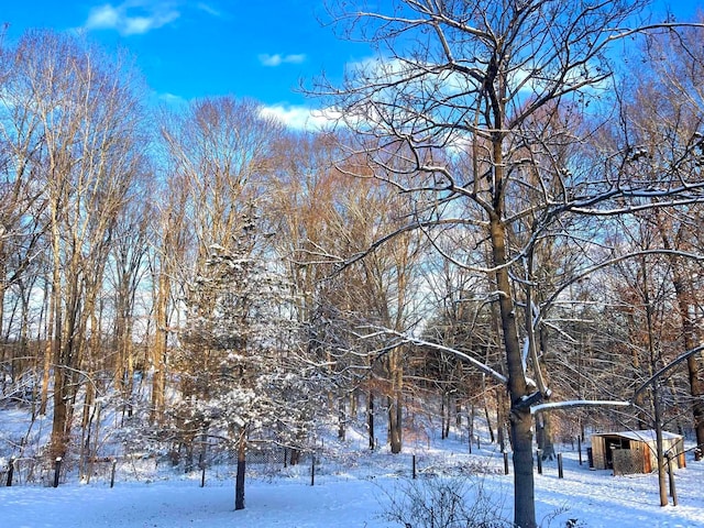 view of snowy landscape