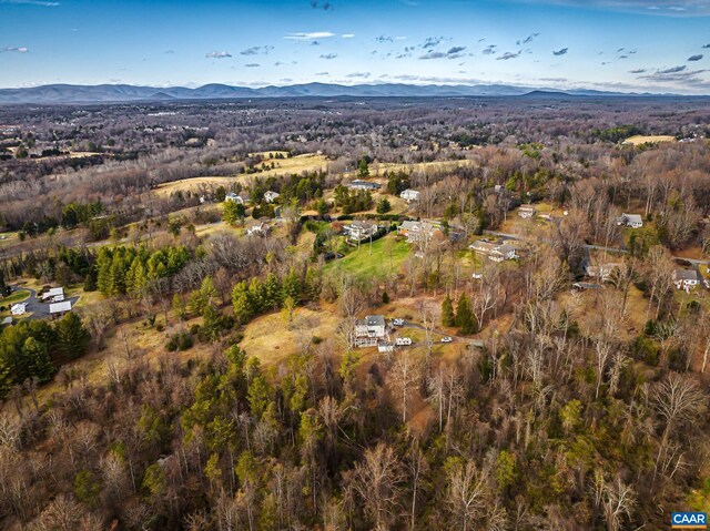 birds eye view of property featuring a mountain view