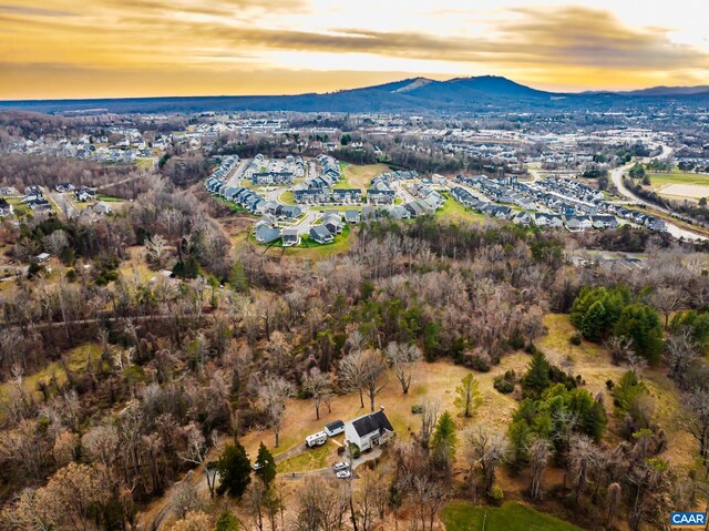 bird's eye view