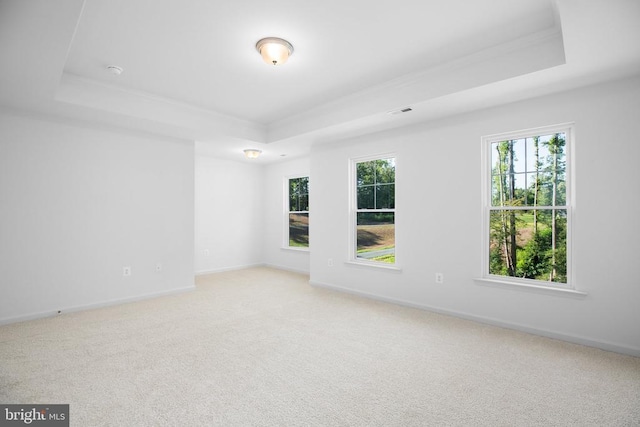 carpeted empty room featuring plenty of natural light and a raised ceiling