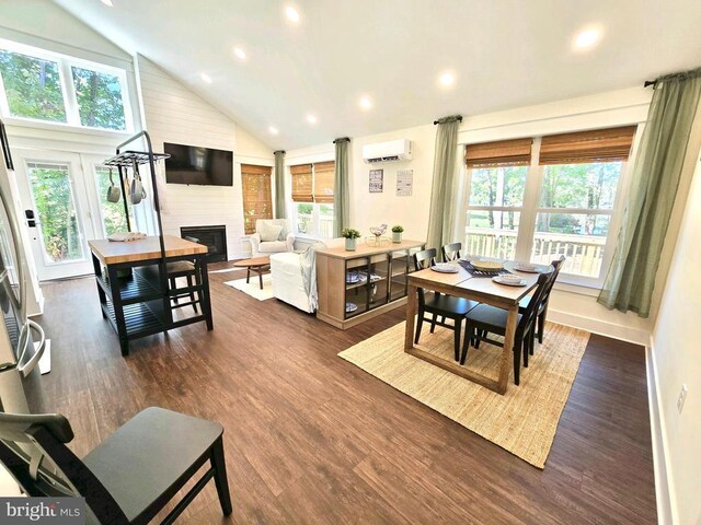 dining room featuring dark hardwood / wood-style flooring, a fireplace, and a wealth of natural light