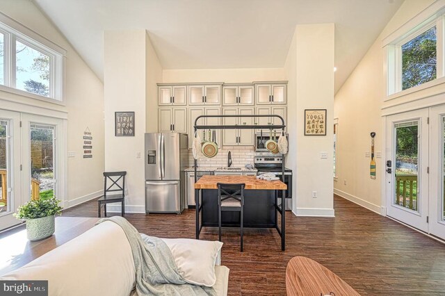 interior space with high vaulted ceiling, sink, and dark hardwood / wood-style flooring