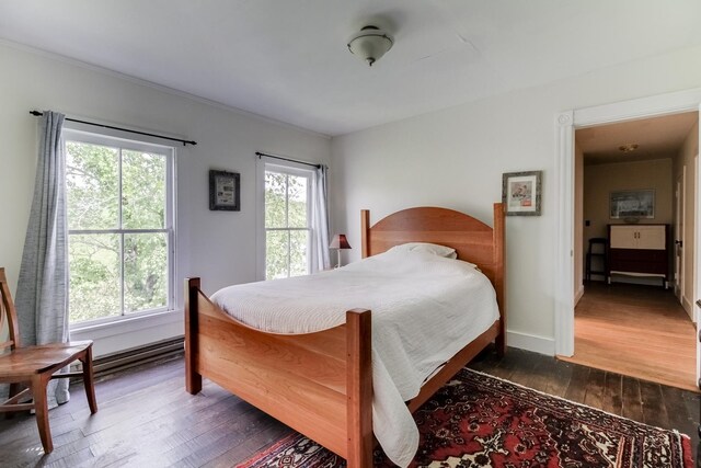 bedroom featuring multiple windows and dark hardwood / wood-style floors