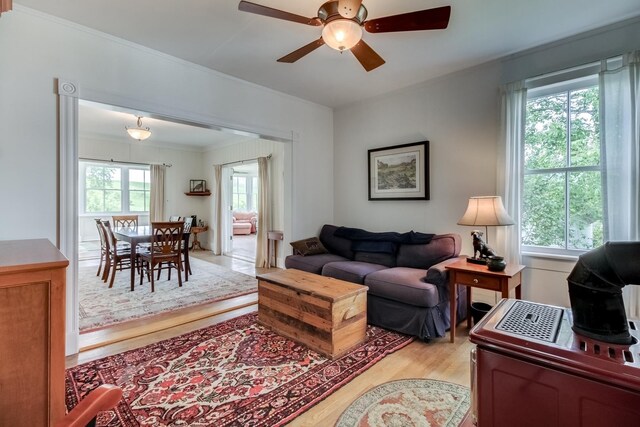 living room featuring ceiling fan, ornamental molding, and light wood-type flooring