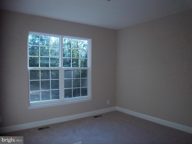 carpeted spare room featuring a healthy amount of sunlight