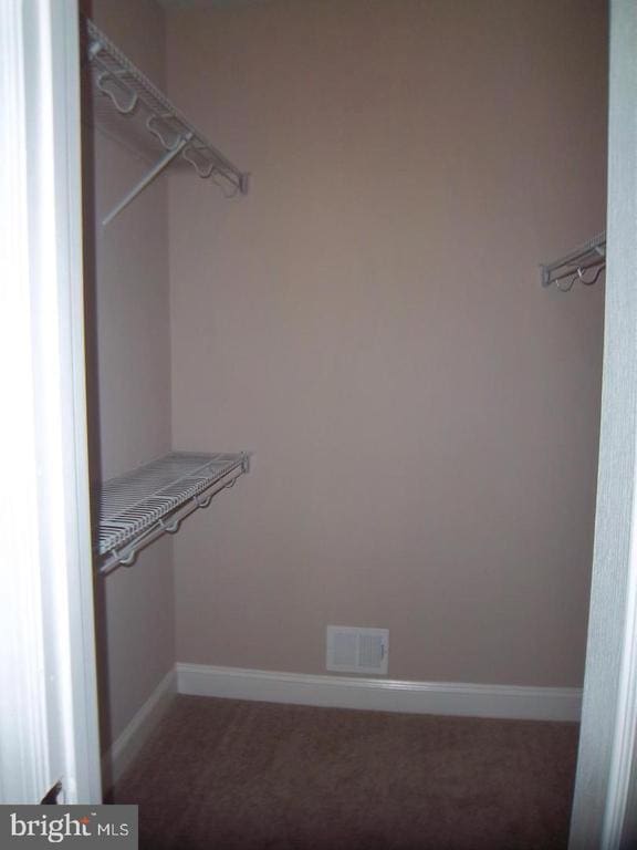 spacious closet featuring carpet