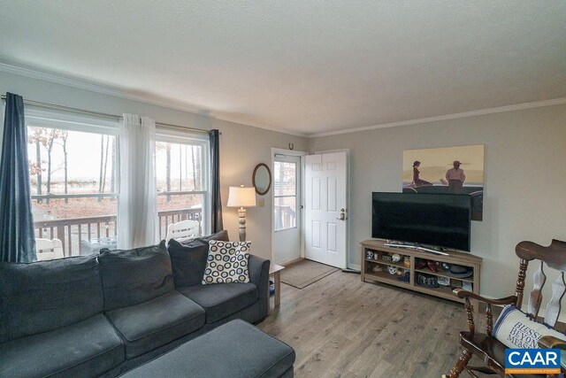 living area with ornamental molding and wood finished floors