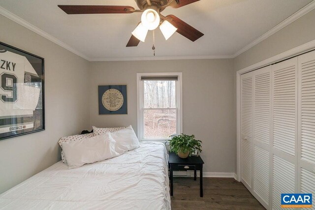 bedroom with ornamental molding, a closet, wood finished floors, and a ceiling fan