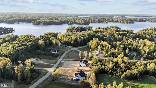 bird's eye view featuring a water view and a wooded view