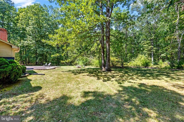 view of yard with a patio area