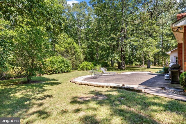 view of yard with a patio area