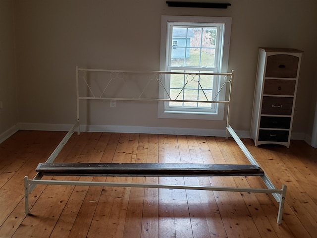 interior space with wood-type flooring