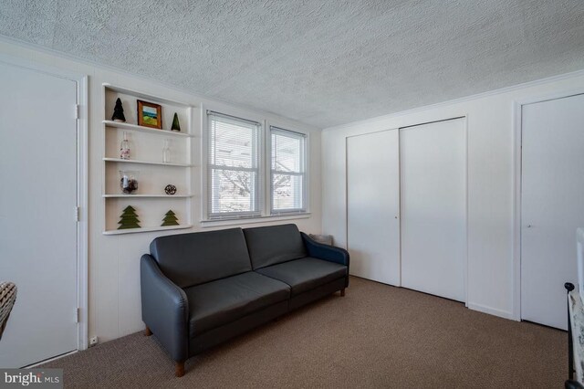 sitting room featuring a textured ceiling and carpet floors