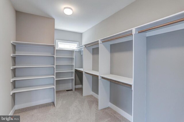 spacious closet with light colored carpet