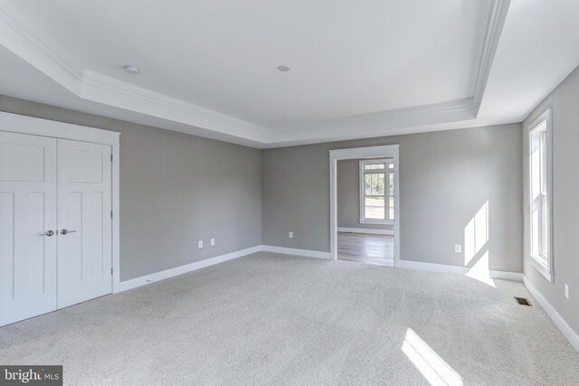 carpeted spare room featuring crown molding and a raised ceiling