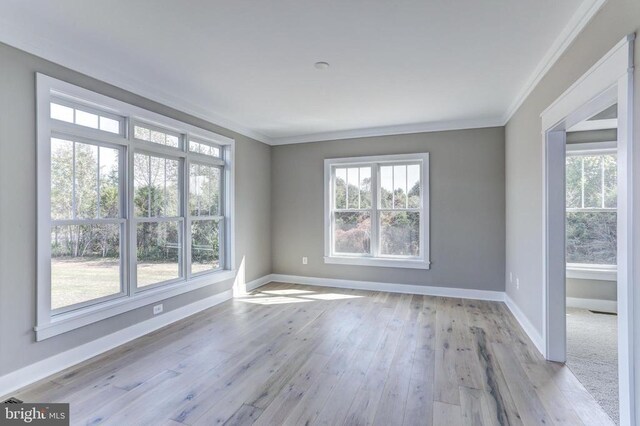 spare room with ornamental molding, a wealth of natural light, and light hardwood / wood-style floors