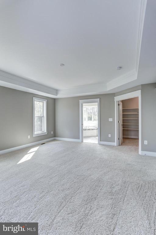 carpeted empty room with a raised ceiling