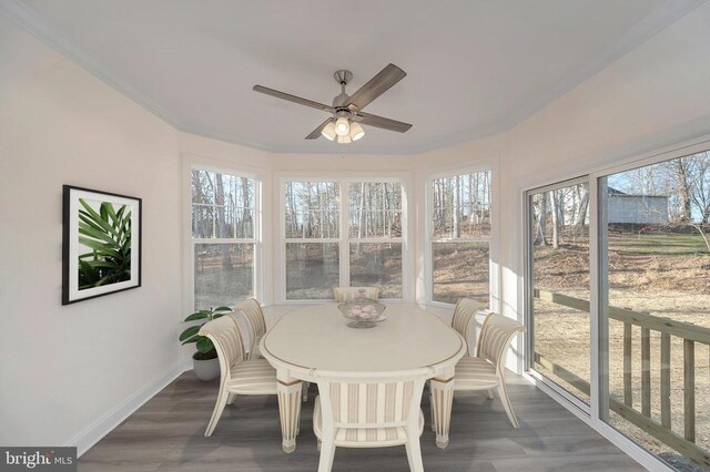 sunroom / solarium featuring ceiling fan