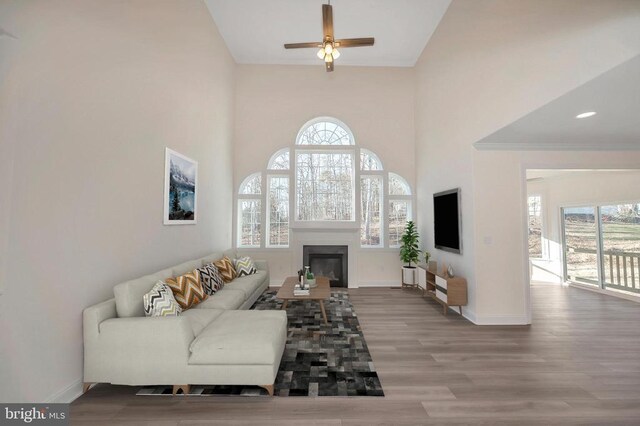 living room with wood-type flooring, ornamental molding, ceiling fan, and a high ceiling