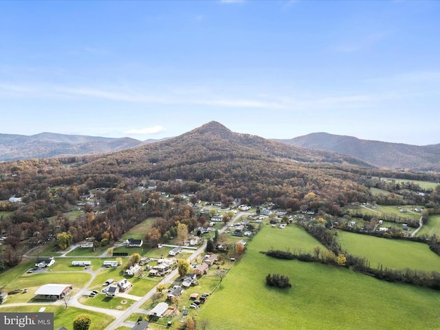 birds eye view of property with a mountain view