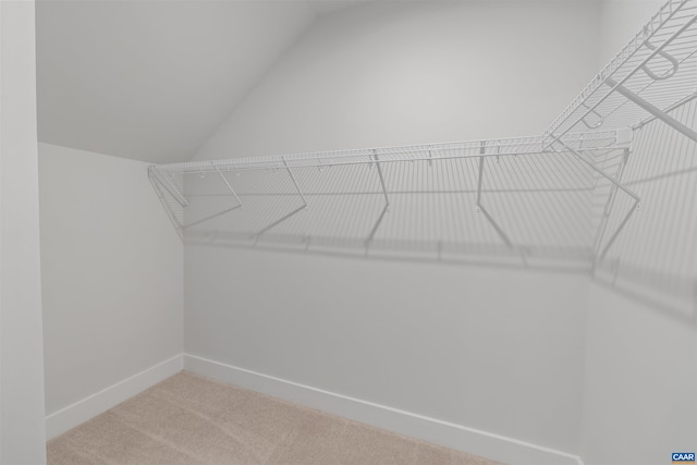 walk in closet with lofted ceiling and carpet floors