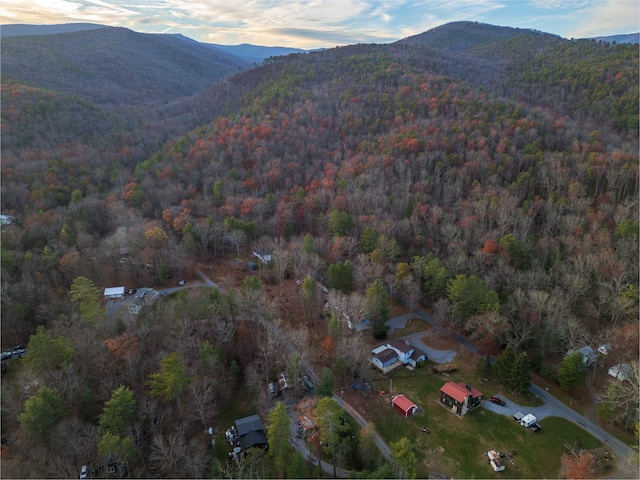 birds eye view of property with a forest view and a mountain view