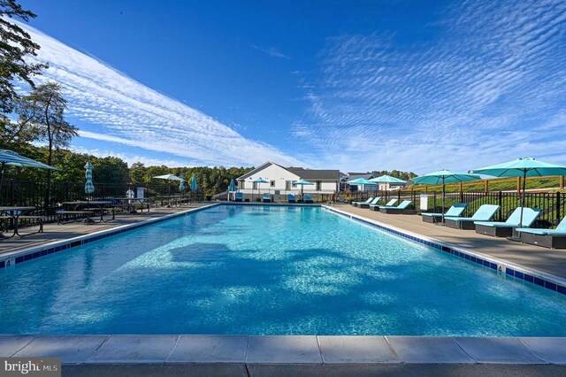 view of pool with a patio area