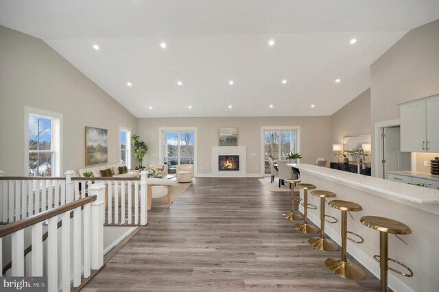 hall featuring high vaulted ceiling, plenty of natural light, and light hardwood / wood-style floors