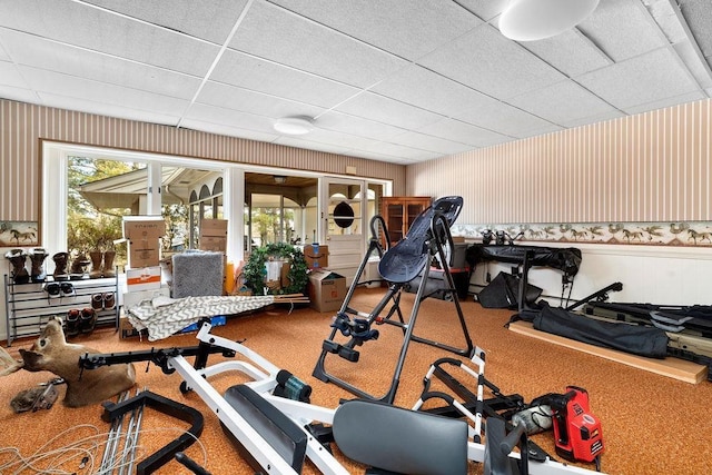 workout area featuring carpet flooring and a drop ceiling