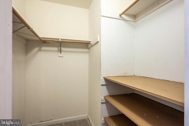 walk in closet featuring carpet floors