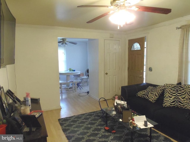 living area featuring crown molding, baseboards, and light wood finished floors