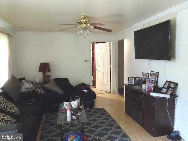 living area with light wood-type flooring, crown molding, and ceiling fan