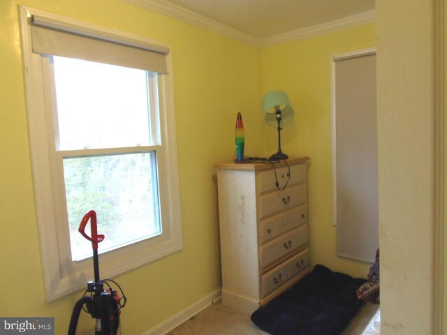 interior space featuring multiple windows, baseboards, and ornamental molding