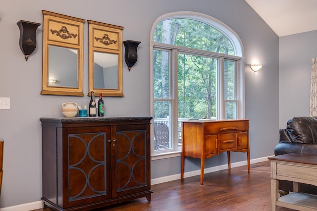 living area with dark hardwood / wood-style flooring, vaulted ceiling, and a healthy amount of sunlight