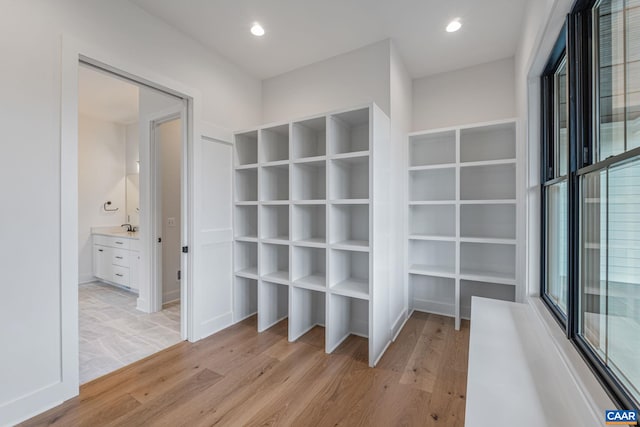 spacious closet featuring a sink and light wood-type flooring