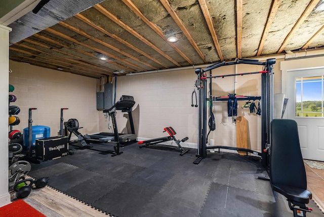 exercise area featuring electric panel