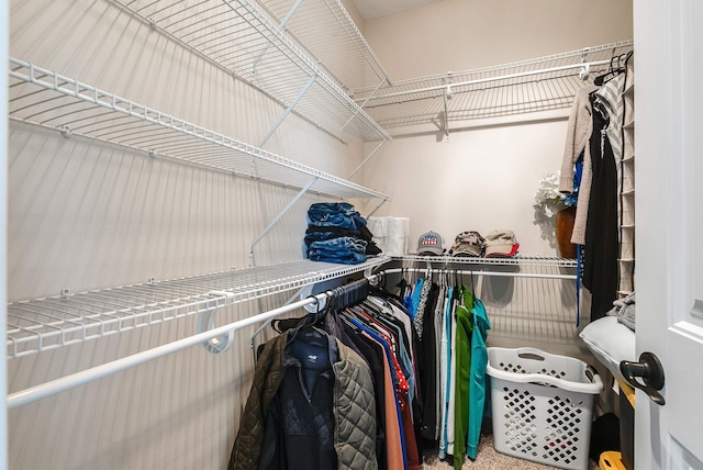 view of spacious closet