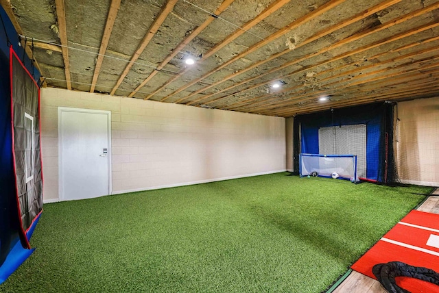 below grade area featuring carpet flooring and concrete block wall