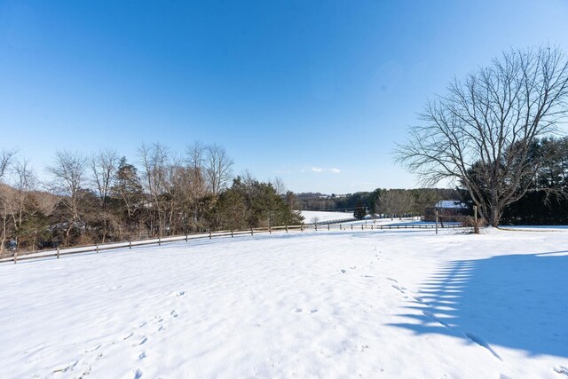 view of yard covered in snow