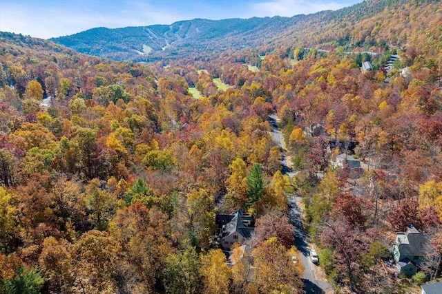 birds eye view of property featuring a mountain view