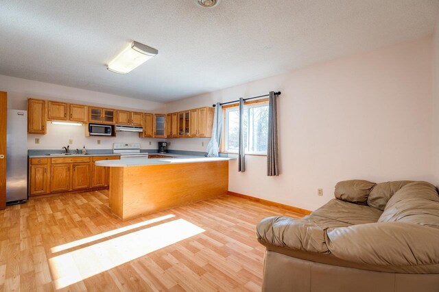 kitchen featuring stainless steel appliances, sink, light wood-type flooring, and kitchen peninsula