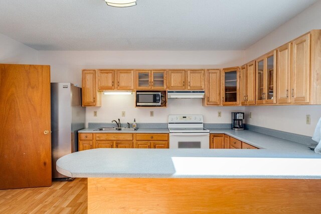 kitchen with light brown cabinetry, sink, stainless steel appliances, and light hardwood / wood-style floors