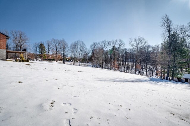 view of snowy yard