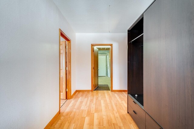 hallway featuring a textured ceiling and light hardwood / wood-style flooring