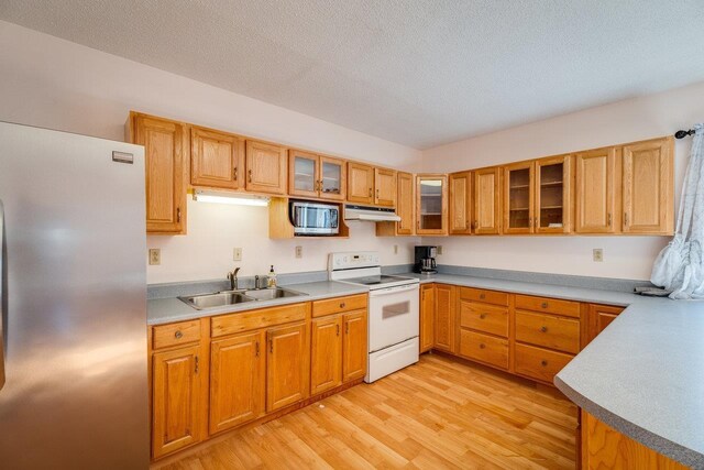 kitchen with sink, light hardwood / wood-style flooring, a textured ceiling, and appliances with stainless steel finishes