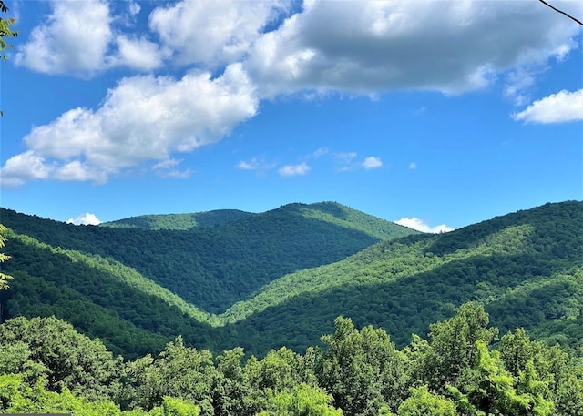 TBD Overlook Mountain Road, Elkton VA, 22827 land for sale