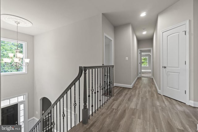 corridor with an inviting chandelier, plenty of natural light, and light hardwood / wood-style flooring