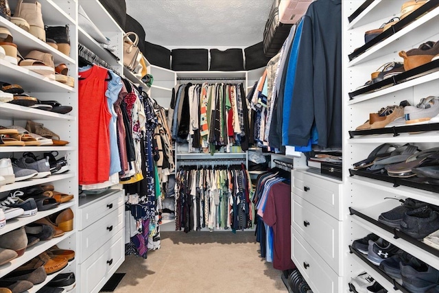 walk in closet with light carpet