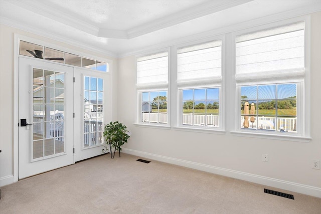 unfurnished sunroom with a raised ceiling