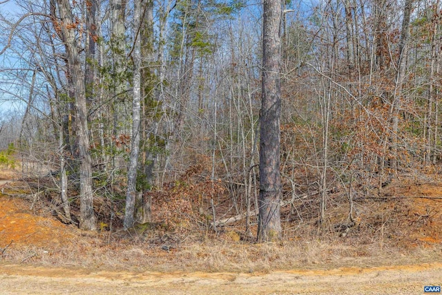 Listing photo 3 for TBD Bible Way Road, Victoria VA 23974